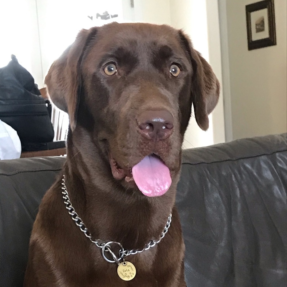 Meet your Posher, Katy